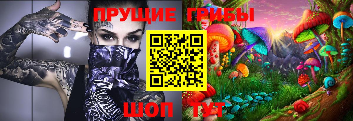 купить наркотики цена  Галлюциногенные грибы мухоморы  Вход с VPN  Россия 
