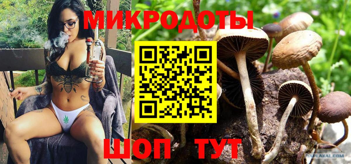 Галлюциногенные грибы Cubensis Россия